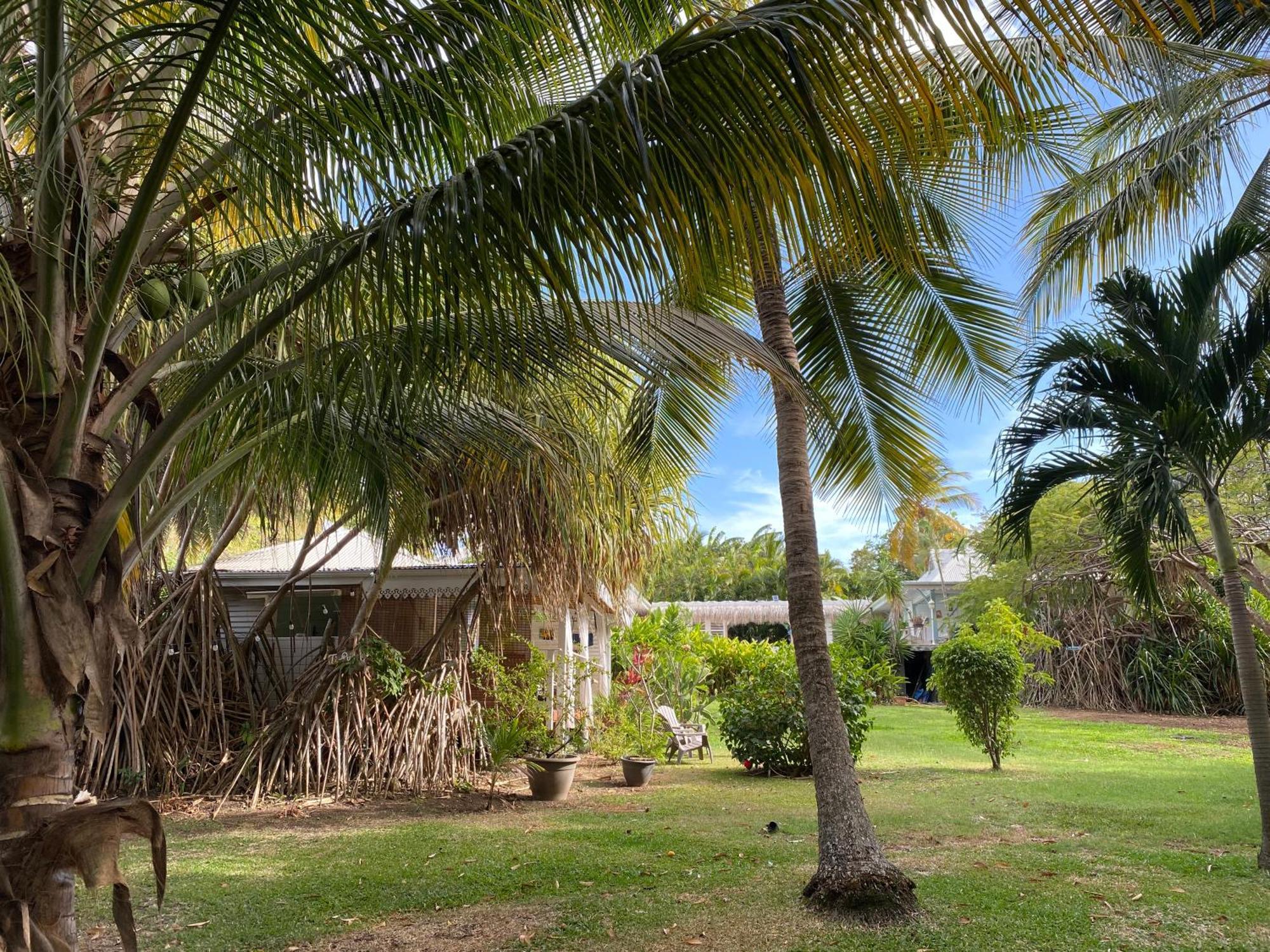 Villa Gaïa - Bungalow Ti-Spa et son jacuzzi privé dans un jardin tropical, séjour en amoureux ou en famille Le Diamant Extérieur photo